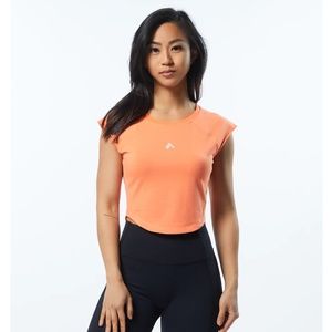 alphalete velocity ss crop